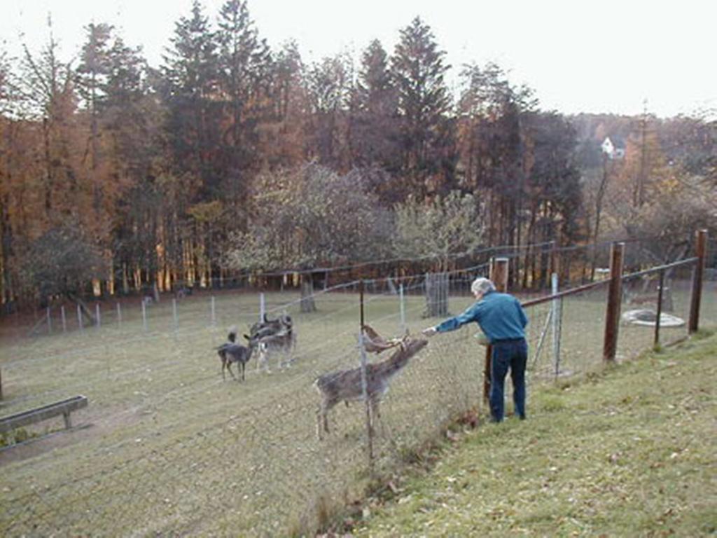 Pension Weber Jennersdorf Екстер'єр фото
